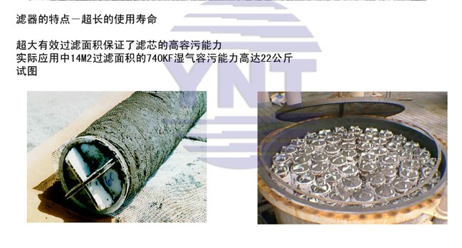 供应天然气滤芯